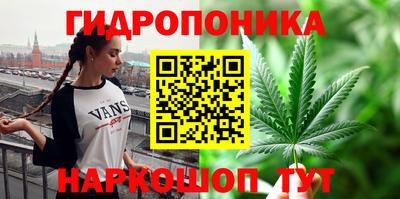гашик Волгодонск
